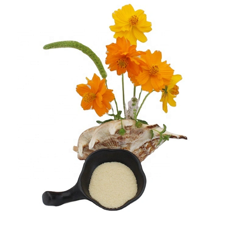 Factory Price Edible Beef Gelatin in Wholesale Price From China